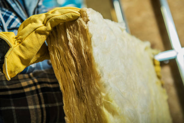 Best Energy Efficiency Insulation in Hokendauqua, PA